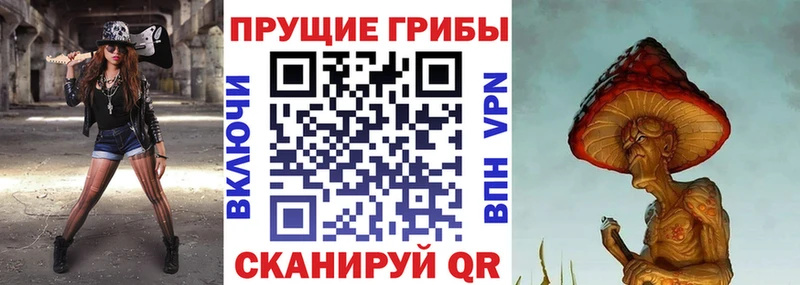 Галлюциногенные грибы Psilocybine cubensis  площадка официальный сайт  Великий Устюг 